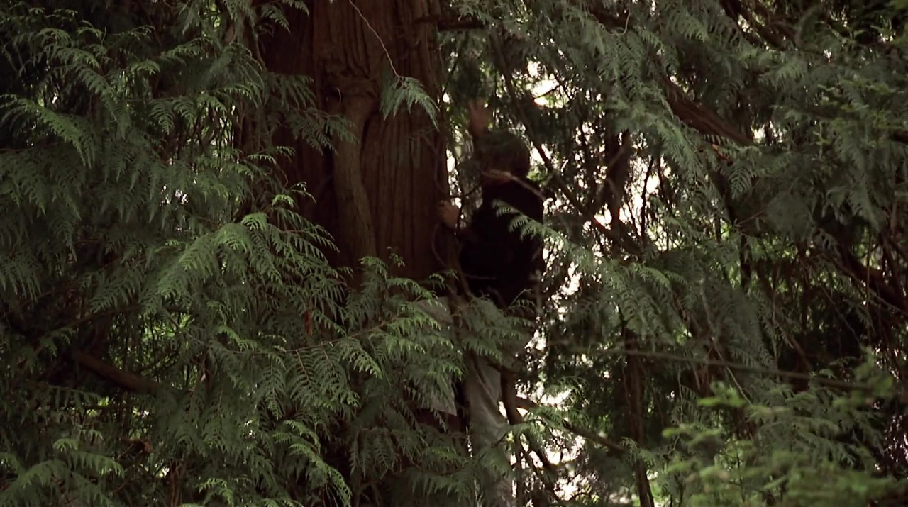 First-Shot-2002-1080p-WEBRip-YTS-MX.jpg