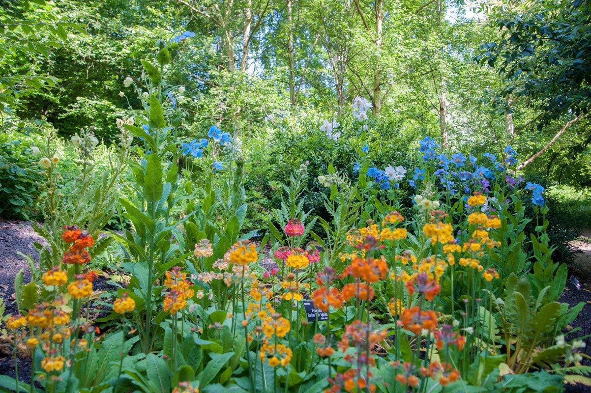 FOBS-Sheffield-Botanical-Gardens