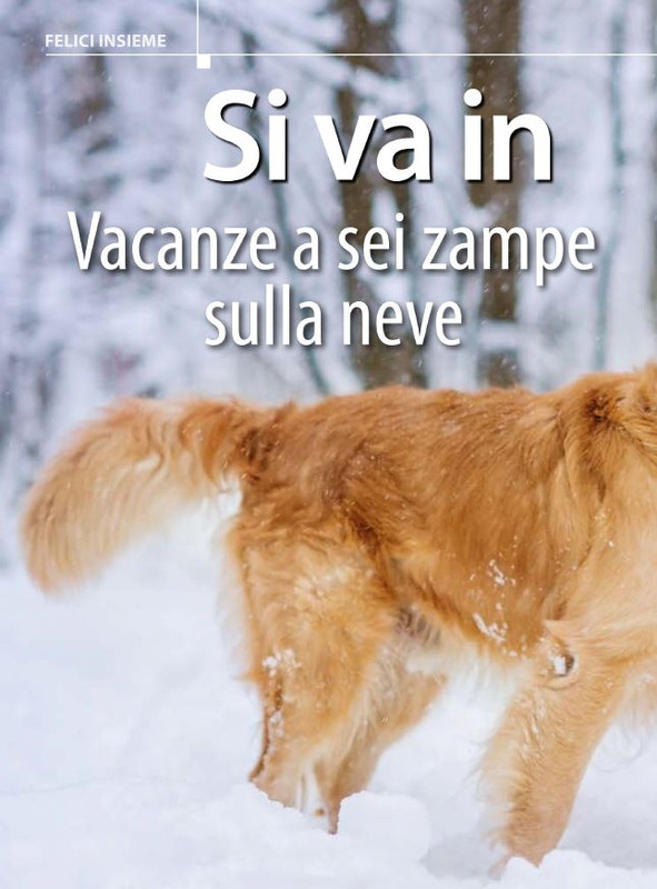 Il M C Dic 2023-Gen 2024 (5)