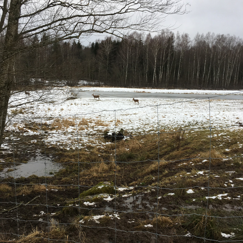 BFE694E5-1E6B-4BC1-87C2-96D5741867C6