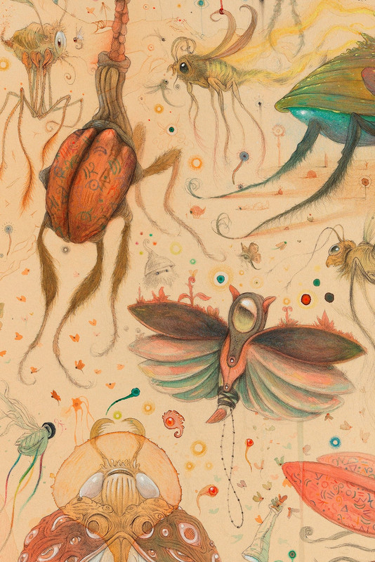 Vorja-Sanchez-Insect-Dialogue-Detail-6