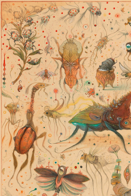 Vorja-Sanchez-Insect-Dialogue-Detail-2