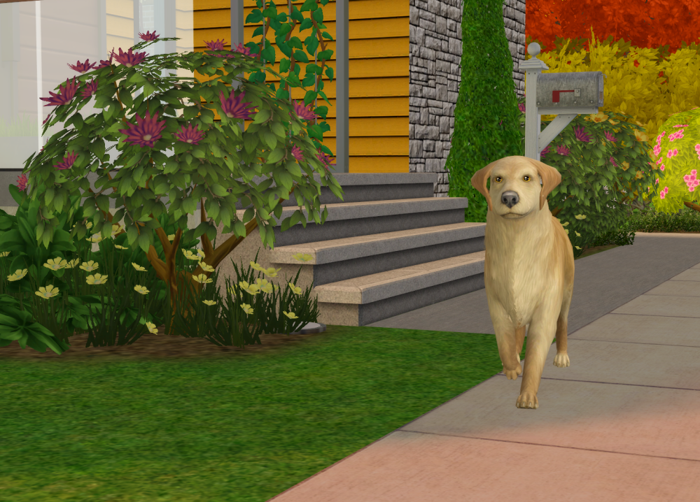 Sims2-EP9-RPC-2022-02-06-14-17-37-20