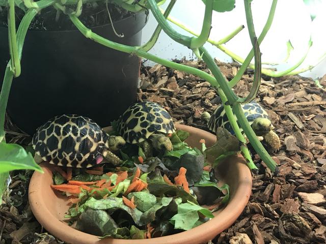 A1EEBAE6-AD75-4E9B-81F9-91013911B6F4