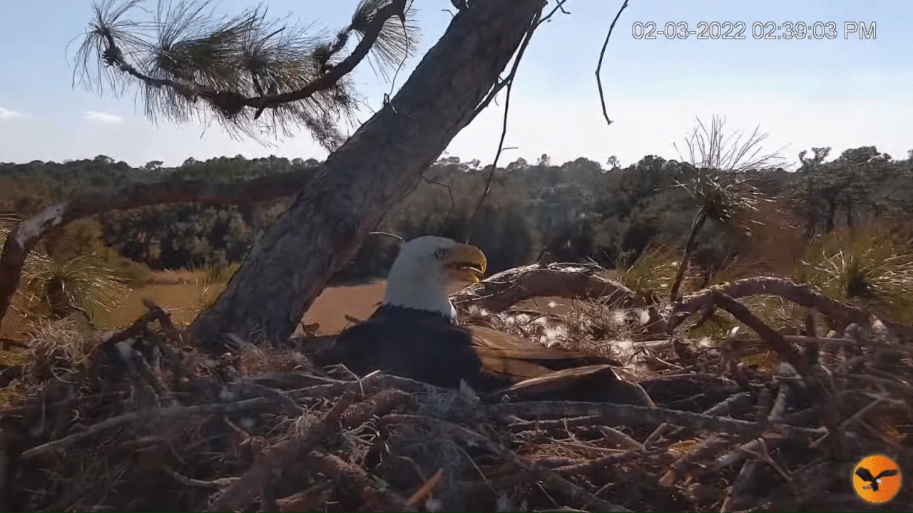 Webp.net-gifmaker (8)