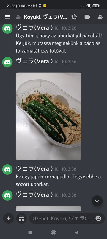 Kép