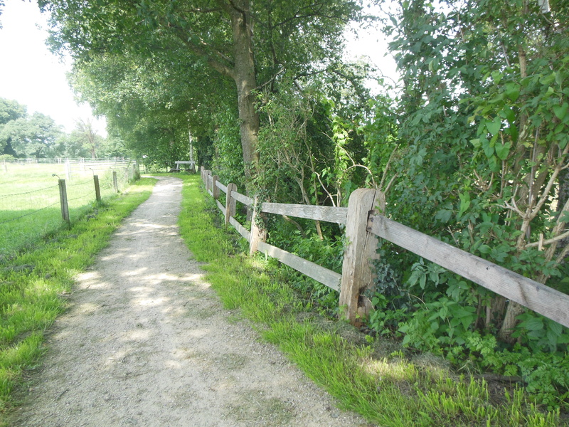 De Oldemeule 05 Hengelo