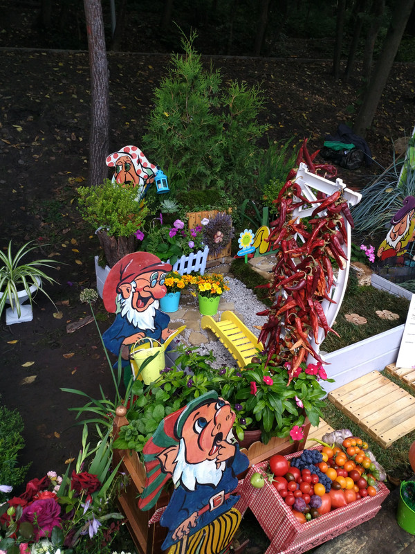 город-сад 2017-1-18