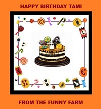 tamis bday
