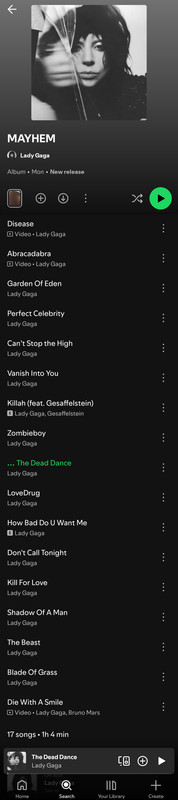 Screenshot-20250904-001830-Spotify.jpg