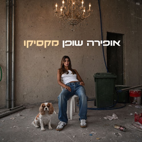 תמונה