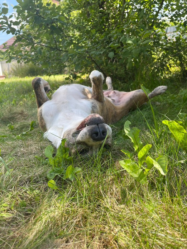 7A2B4987-AA6B-4CA8-96A3-F936315599F8