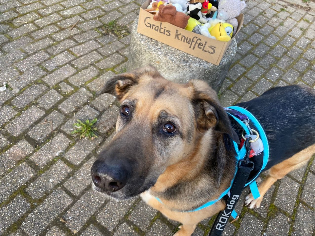 photo_2021-04-19_08-20-37