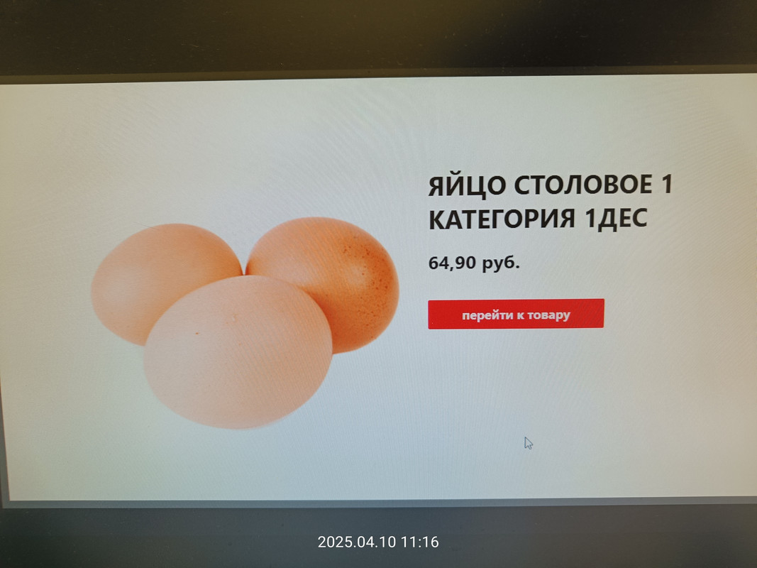 1000025826.jpg
