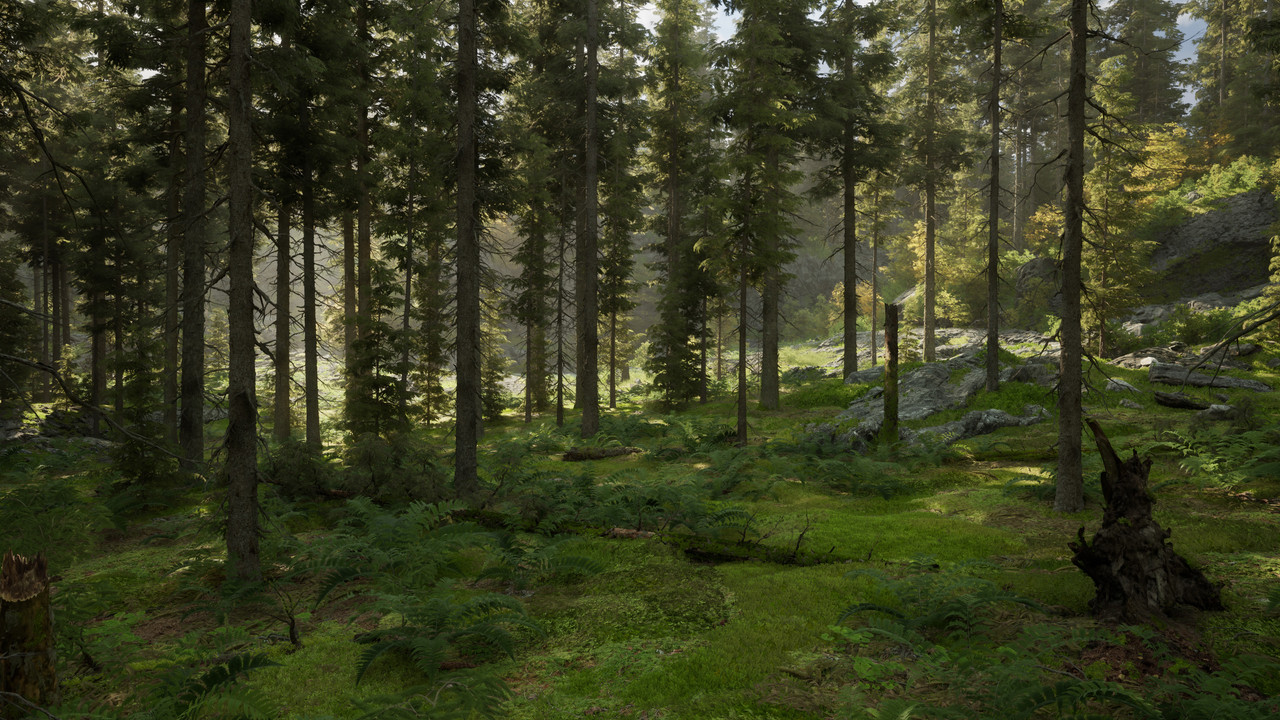 Northern Valley 2025 11 08 01 55 59 385