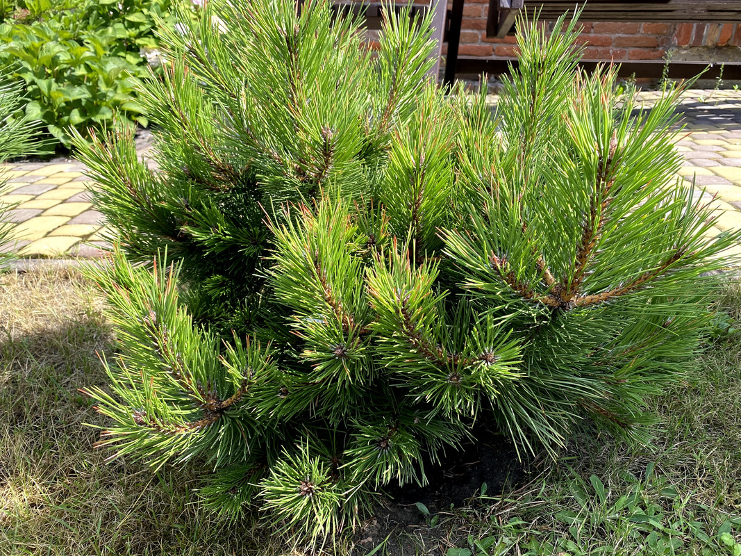 BD6DBA5A-149F-4EE5-8DF1-0ED2018A1BE5