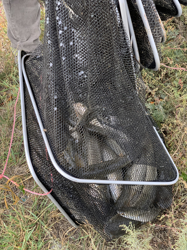 690DD831-0466-4F16-8594-2A77C6C37E0B