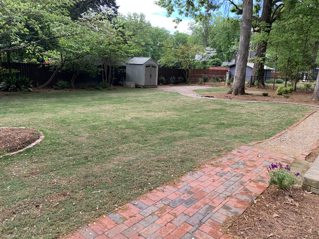 Zoysia Shade Tolerance Page 2 Lawn Care Forum