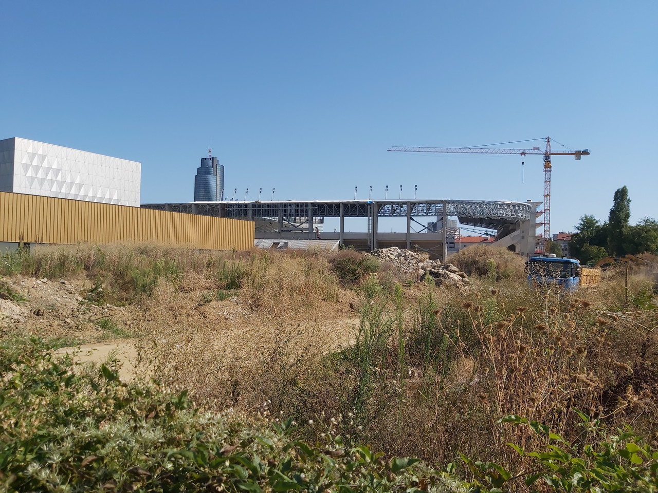 adzijina-20260810-09.jpg