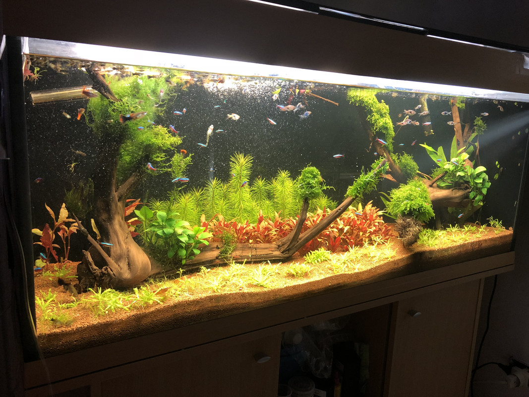 15429E98-B215-4CCB-8E76-F68ACF27E8C9