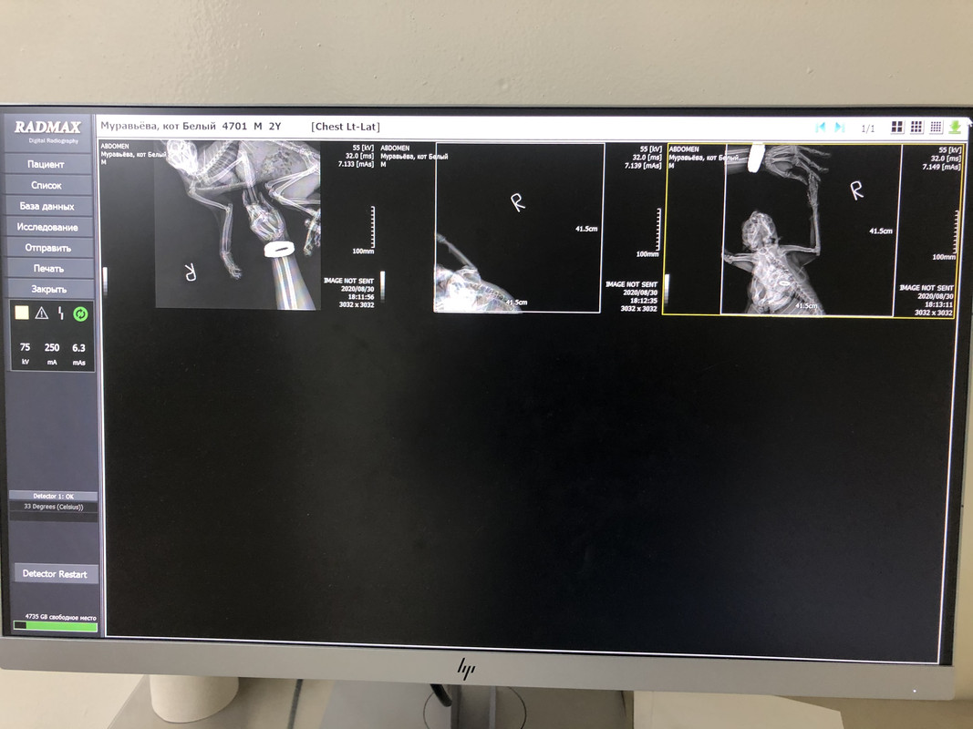 234B29AC-63F7-421B-9C9A-4BB993A559A6