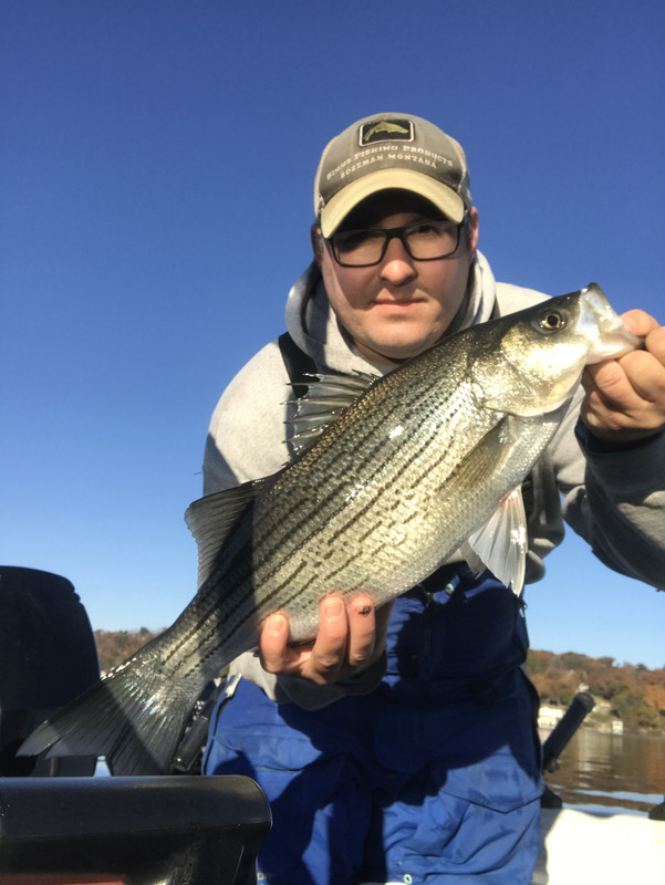 734141FF-473B-4B82-B8D8-01EA2C36018E