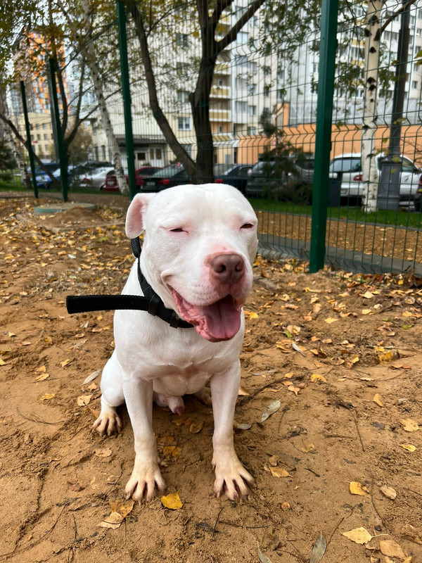 F9C4B945-4F90-4AA5-9867-A46E72A0FE9E