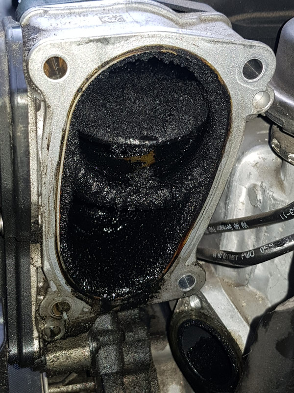 FAEB84AA-E589-4B48-8A01-81F32AE266A6