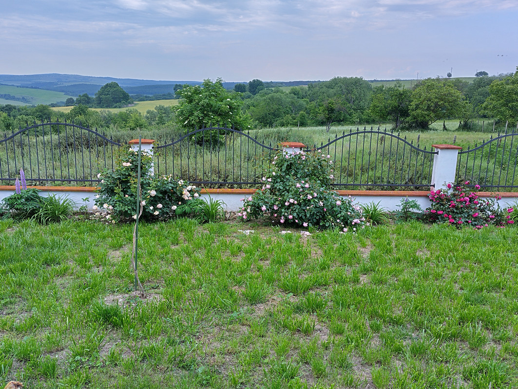 IMG_20230530_180302_HDR