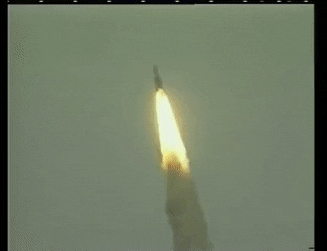 Dangerous-Excellent-Africanfisheagle-sma