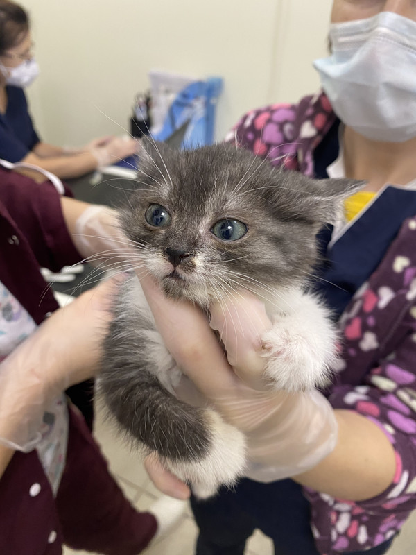 2F433AE6-3B5C-4DB3-8296-670505C07FCF