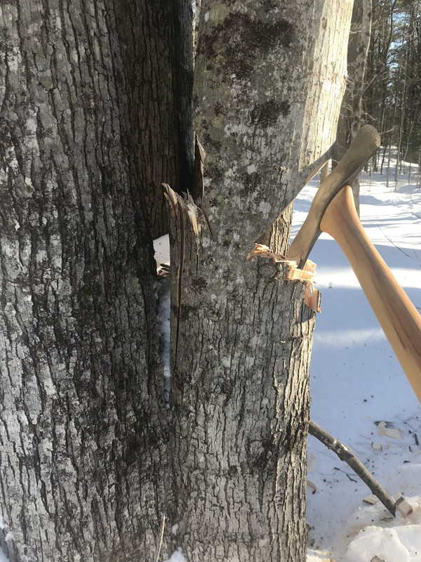 E6969385-D1AD-445C-B922-A2FF6983C5A3