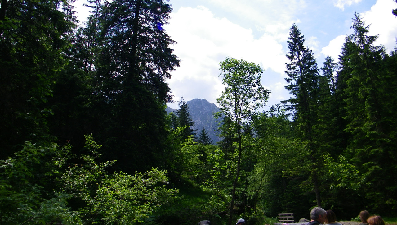 02.06 - 101_5260 (johny)