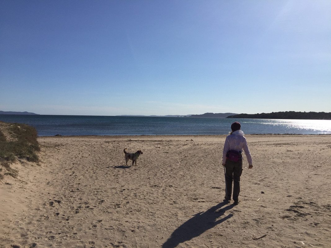 96B4EFE0-245F-43C9-82B3-DBC5F1E69926