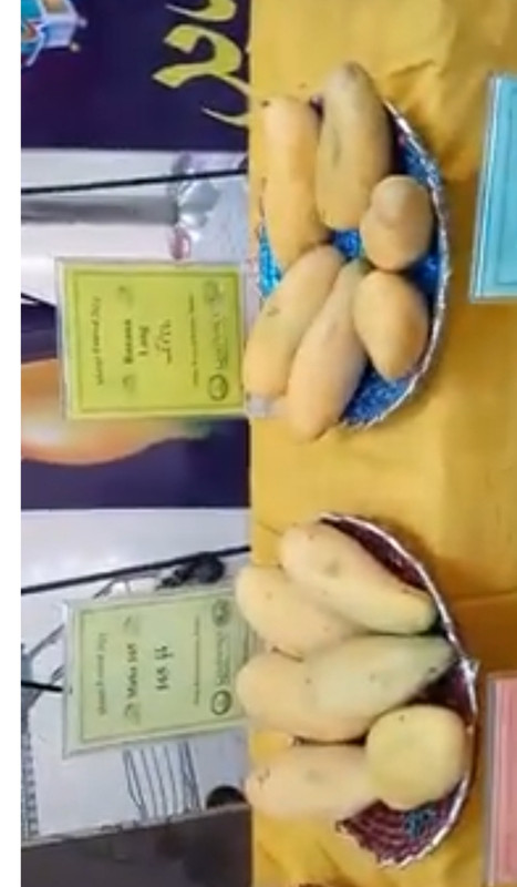 Maha165 vs Banana mango