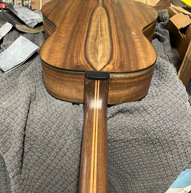 Abalone binding detail