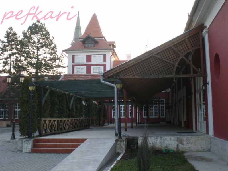 Slika