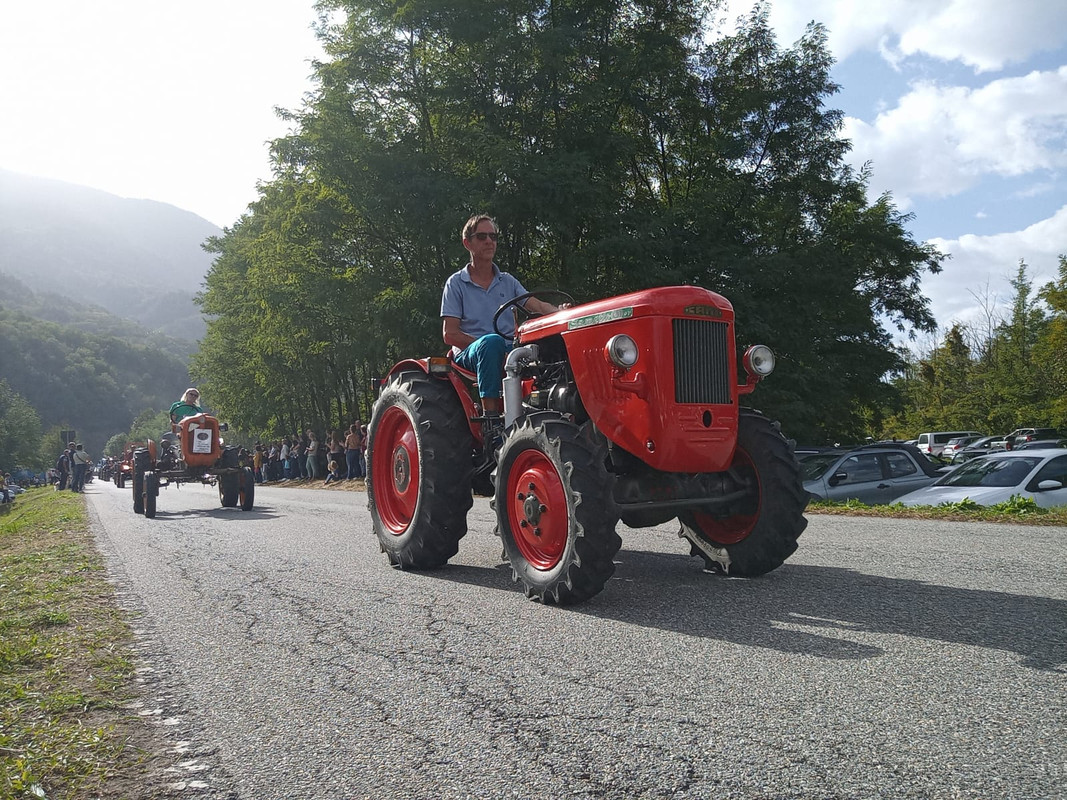 Scargaamuut 2023 (4)