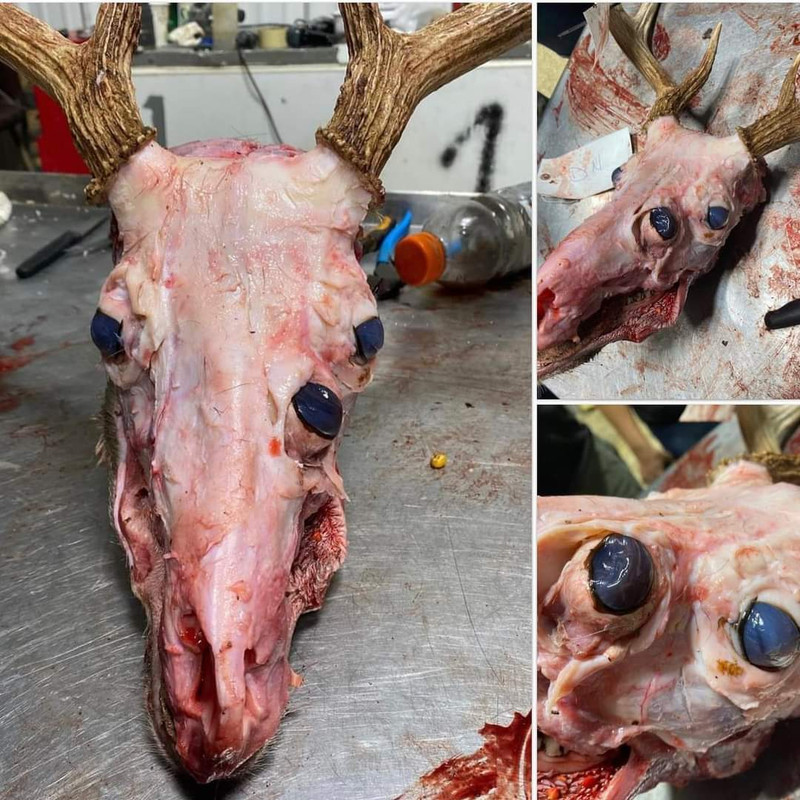 FE2051A7-3FDB-44BB-BAD4-4871BBDF2214