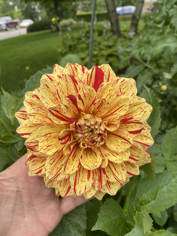 92307E4E-A4A0-42F1-9F34-91589C1F102E