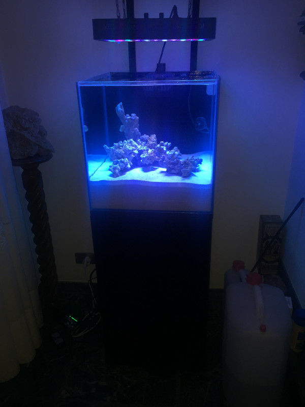 6E5B48C2-8CC3-4B03-A4EA-09B1ECBC6357