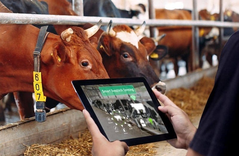 Smart Dairy Farming