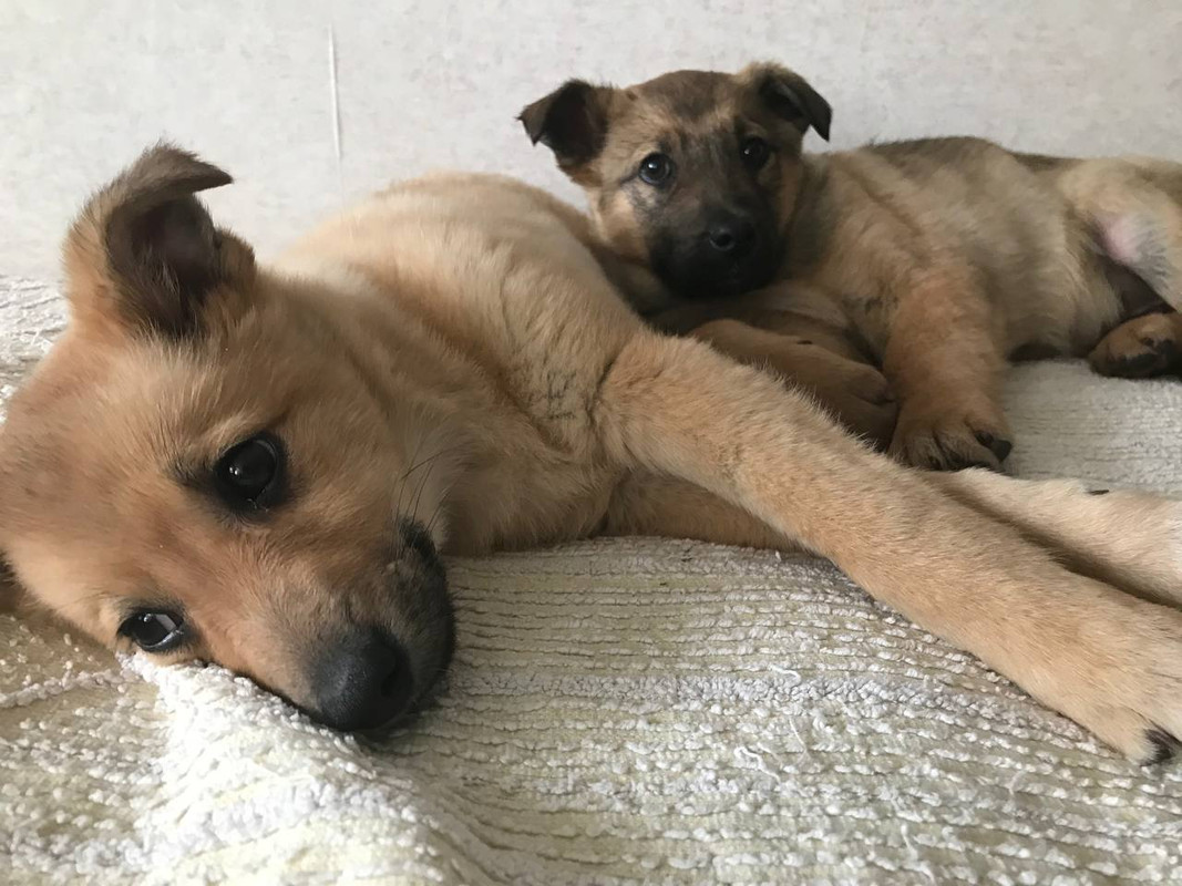 FC416578-4AE5-4209-85A0-FACDC068FD61