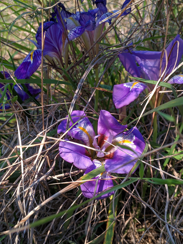 00000IMG_00000_BURST20190216171833853_COVER