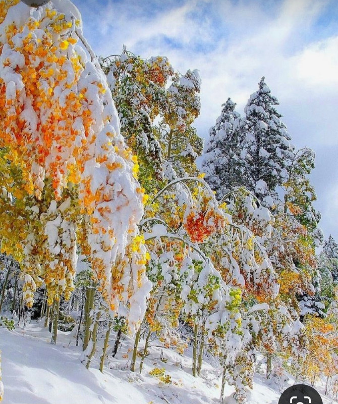 Screenshot_20231019_202725_Pinterest