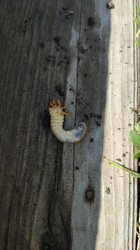 IMG_2023_07_01_16_10_36_1742914107140559745538