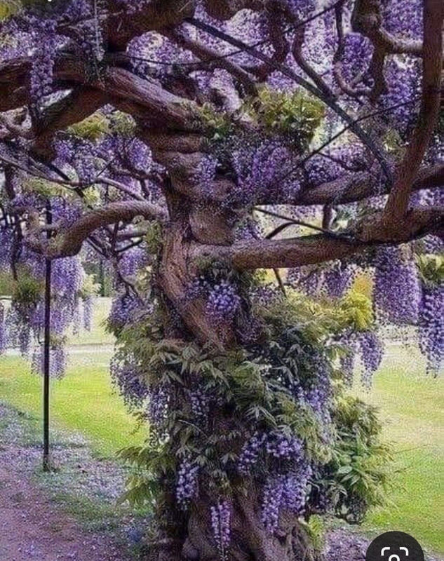 Screenshot_20230409_195435_Pinterest