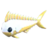 Gold Mahi Mahi