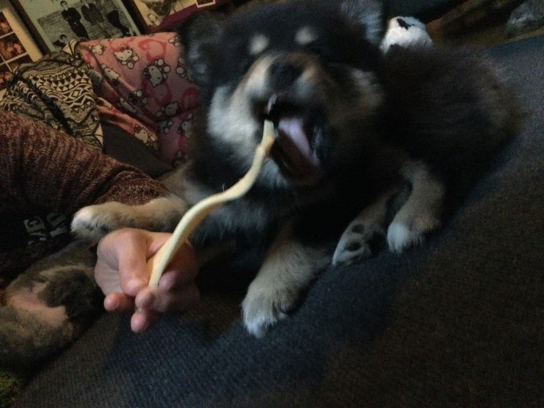 6AD096A4-A8AC-4DE8-861D-B7EFE04E803F