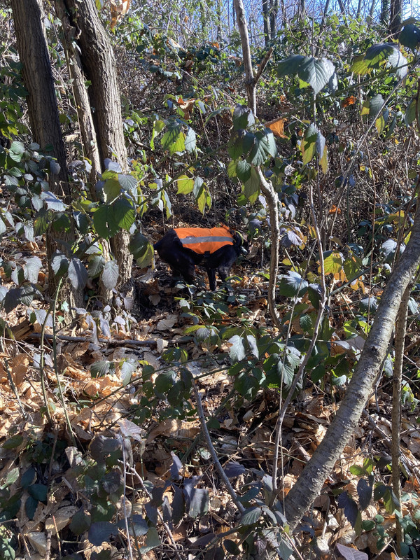 B71F27D0-25EA-4C02-94DD-E26F4B81CEE8